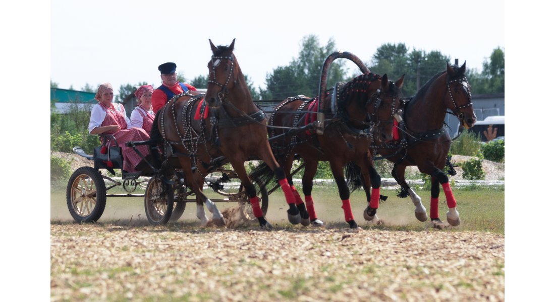 FestivalTroyki(12-13.07.25)-106