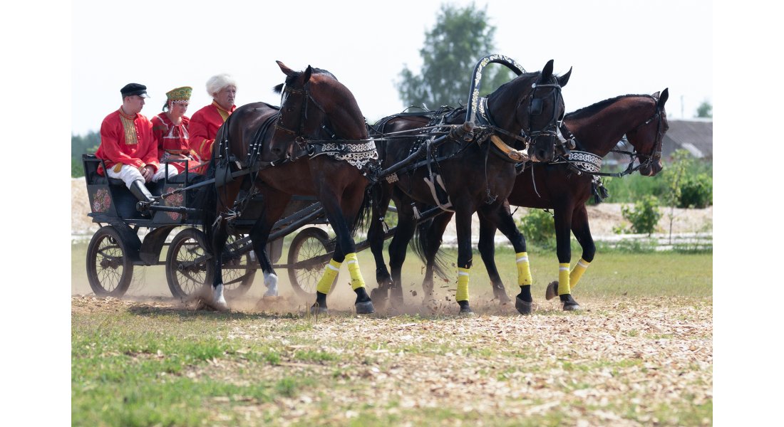 FestivalTroyki(12-13.07.25)-119