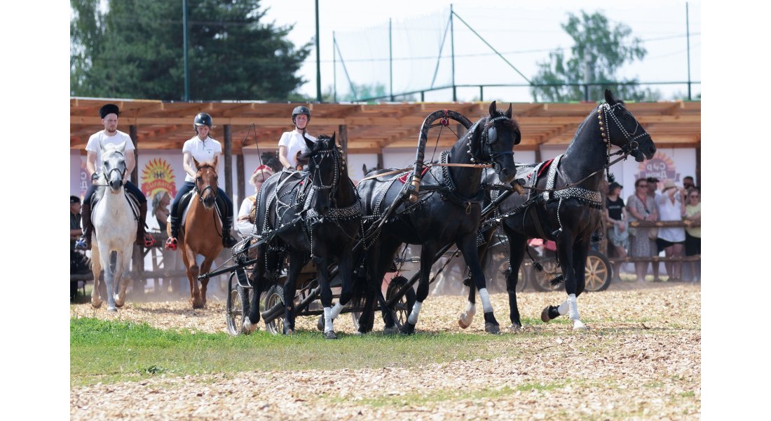 FestivalTroyki(12-13.07.25)-12
