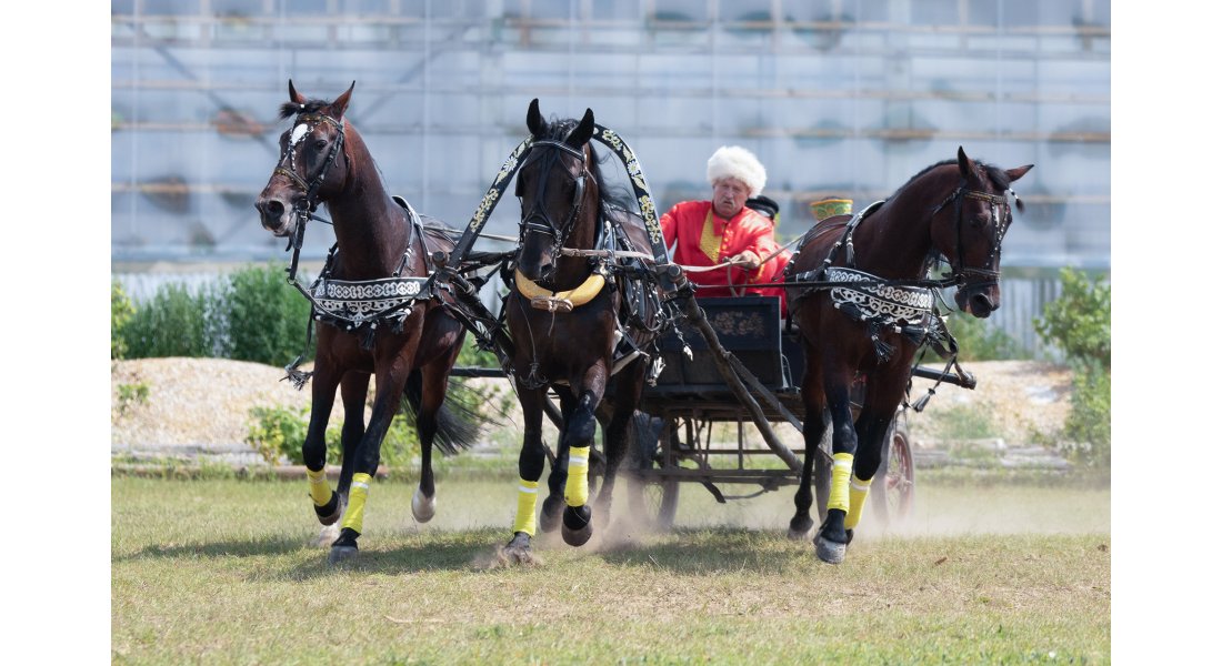 FestivalTroyki(12-13.07.25)-137