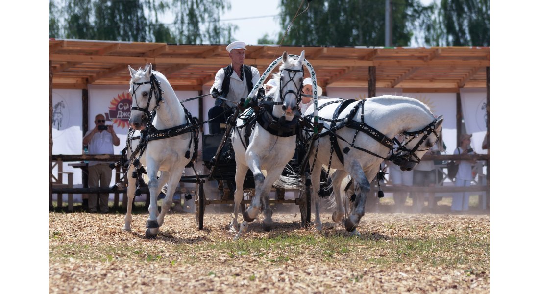 FestivalTroyki(12-13.07.25)-166