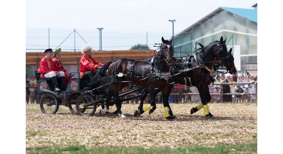 FestivalTroyki(12-13.07.25)-17