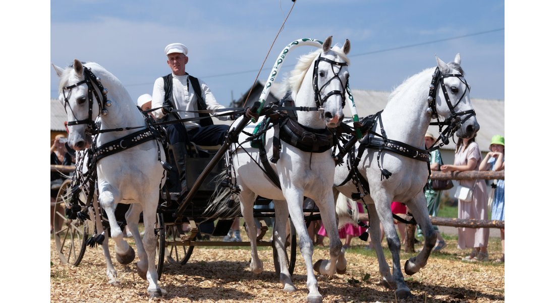 FestivalTroyki(12-13.07.25)-172