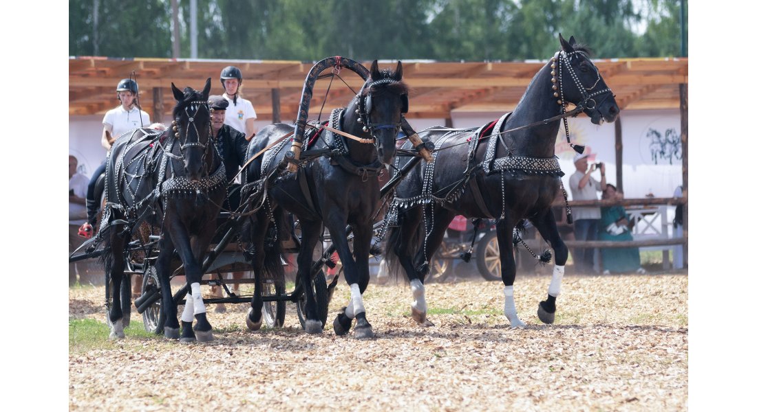 FestivalTroyki(12-13.07.25)-18