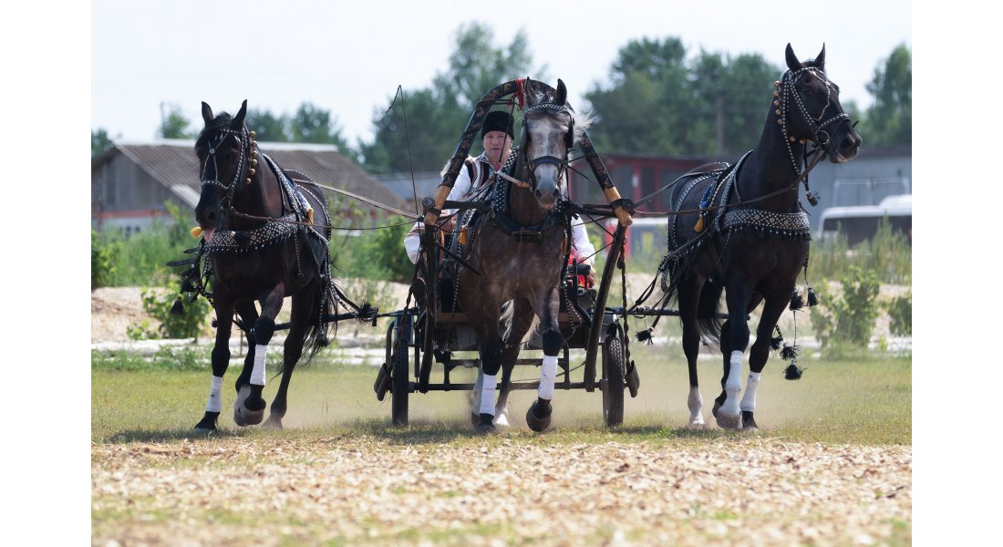 FestivalTroyki(12-13.07.25)-180