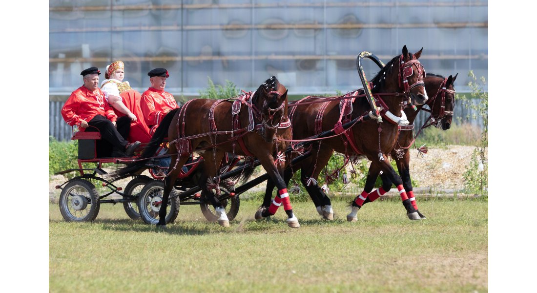 FestivalTroyki(12-13.07.25)-216