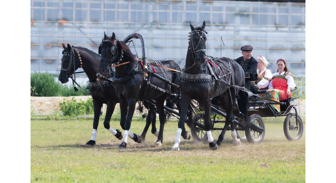 FestivalTroyki(12-13.07.25)-25