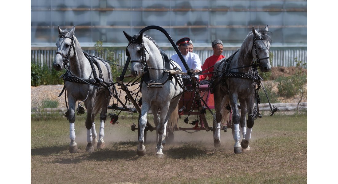 FestivalTroyki(12-13.07.25)-328