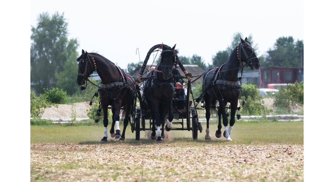 FestivalTroyki(12-13.07.25)-33