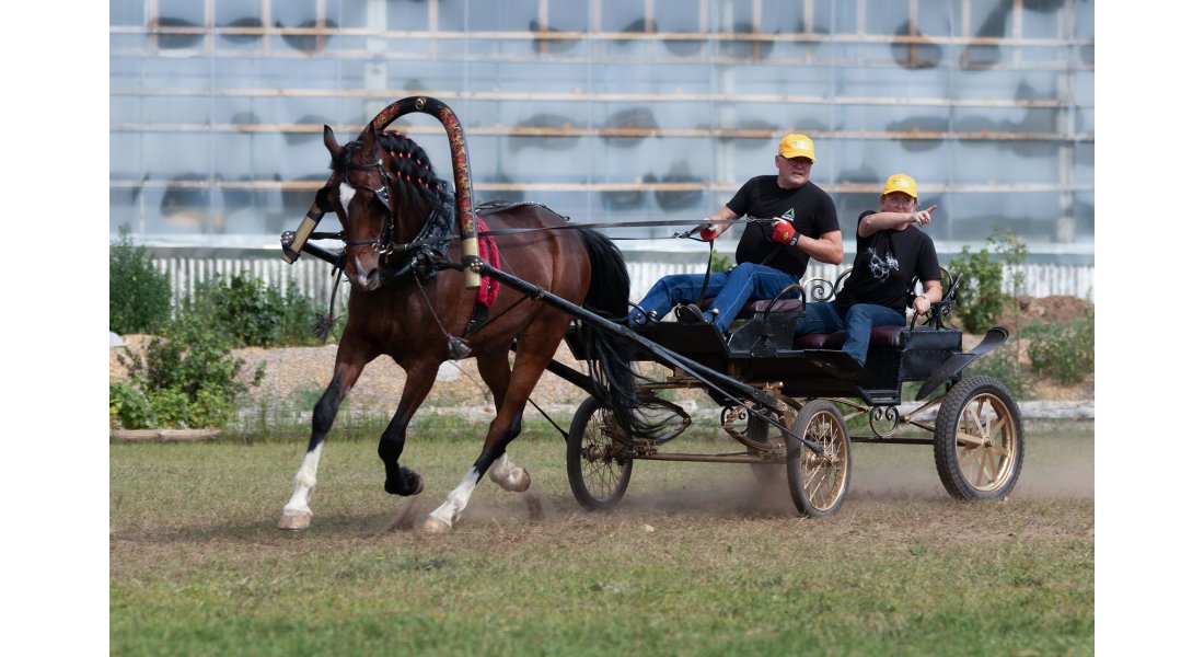 FestivalTroyki(12-13.07.25)-393