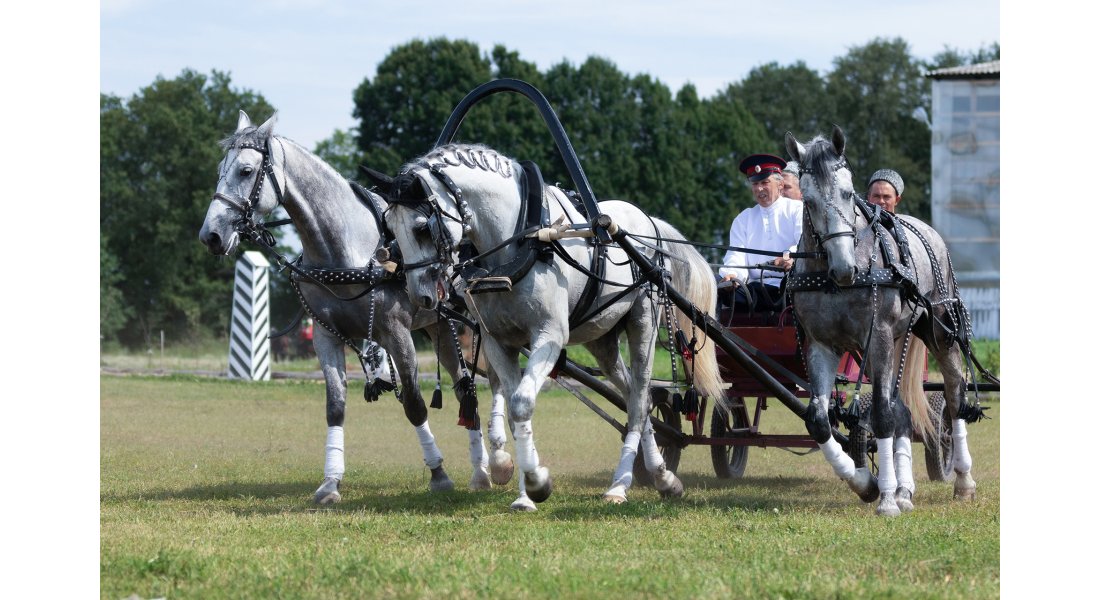 FestivalTroyki(12-13.07.25)-48