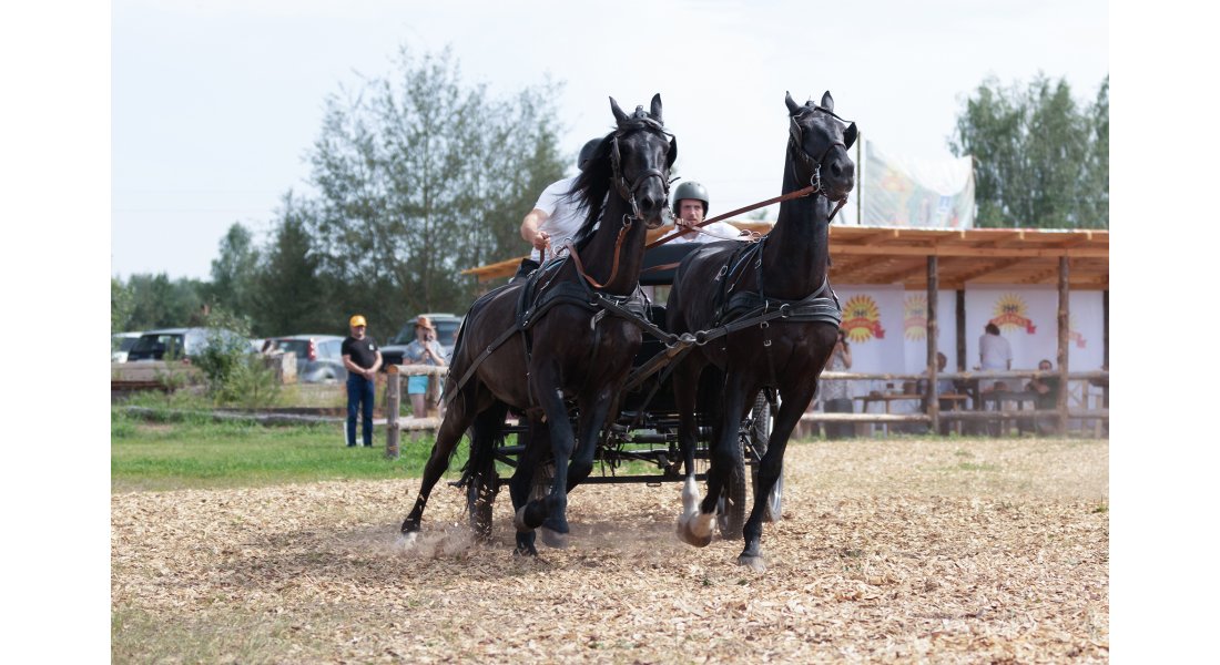 FestivalTroyki(12-13.07.25)-487