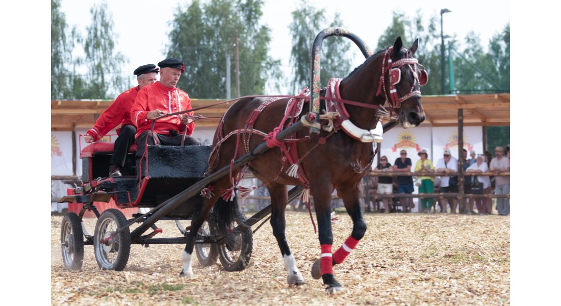 FestivalTroyki(12-13.07.25)-539