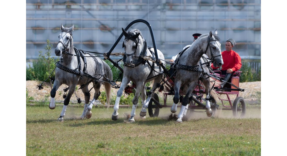 FestivalTroyki(12-13.07.25)-75