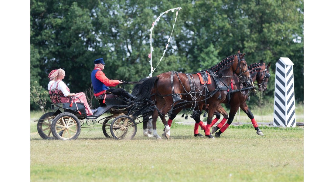 FestivalTroyki(12-13.07.25)-80