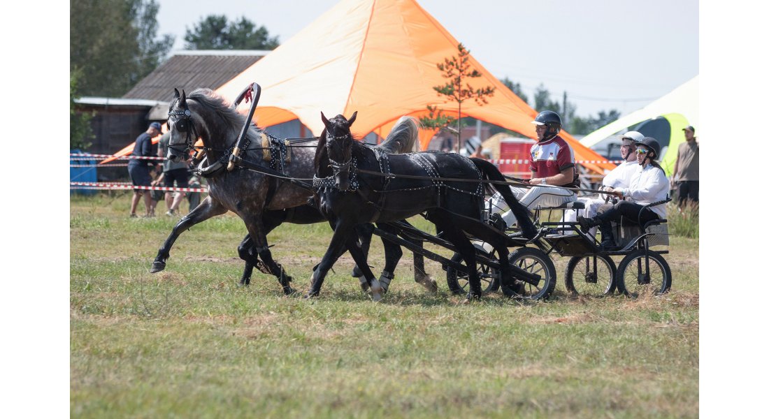FestivalTroyki(12-13.07.25)-804