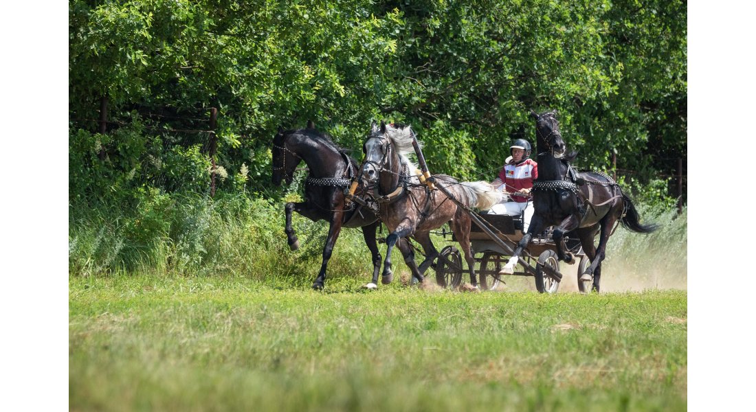 FestivalTroyki(12-13.07.25)-828