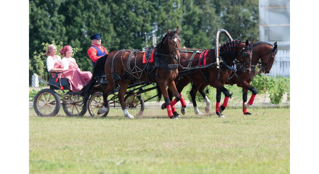 FestivalTroyki(12-13.07.25)-91