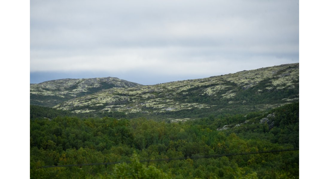 DS0_0905