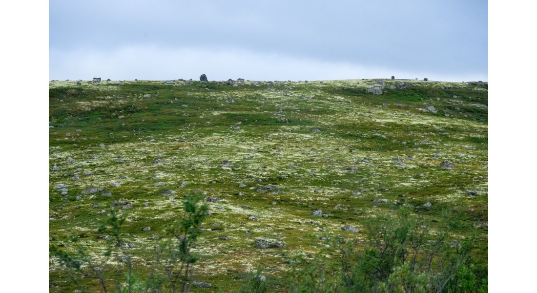 DS0_0917