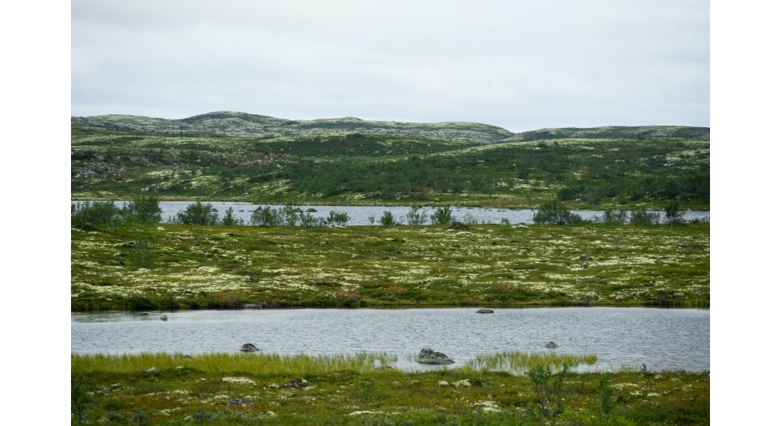 DS0_0985