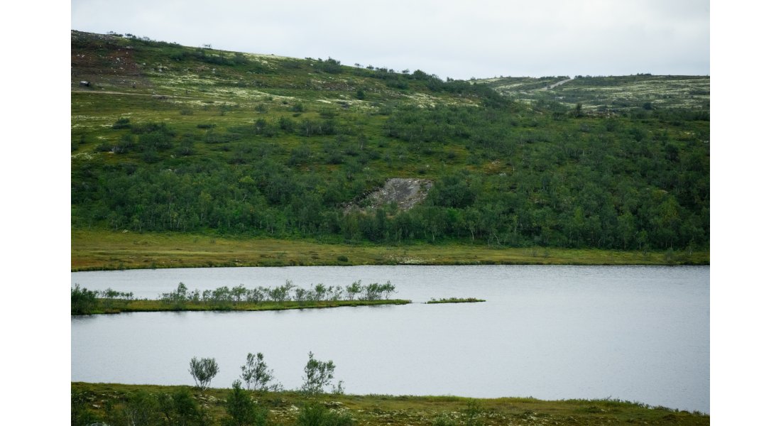 DS0_0996